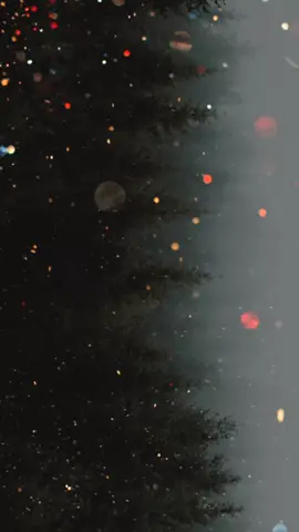 #doubleexposure