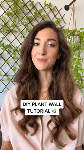 How to build a trailing plant wall (requested!) 🌱 #DIY #homeproject #pinterest #houseplant #homedecor #LearnOnTikTok #plantlover #plantwall