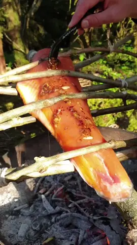 whole salmon fillet 😱🐟 on sticks😁 #menwiththepot #cooking #food #fish #best #asmr #perfectmeal #fire #delicious #happy #foryou #friends #adventure