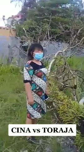 Yang mengerti tolong terjemahin ya..... ne bahasa CINA VS TORAJA Ngakak parah abis.. wkwkwkwkwkwk#komentarnetizen #menghibur #viralvideo #kocakabis
