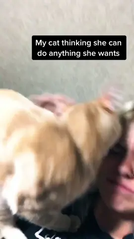 Wait for it...
