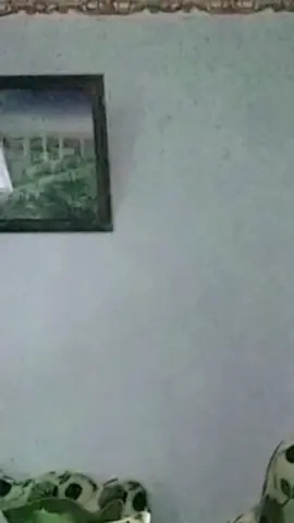 #zoommyface