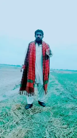 jyada se jyada like karte hain aap