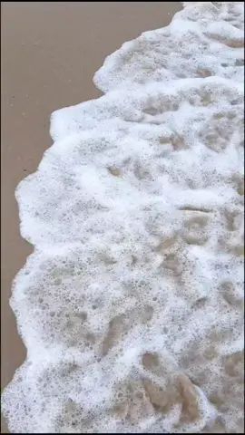 ME ENCANTA, PODER CAMINAR DESCALZA POR LA ORILLA DEL MAR..🌊 #tiktok #endirectotiktok #may2020videos #foryou #goodday #descalza #tiktoktarragona