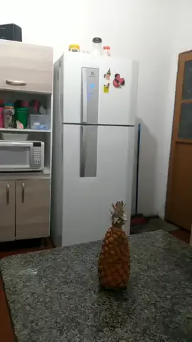 @talpaitalfilh0