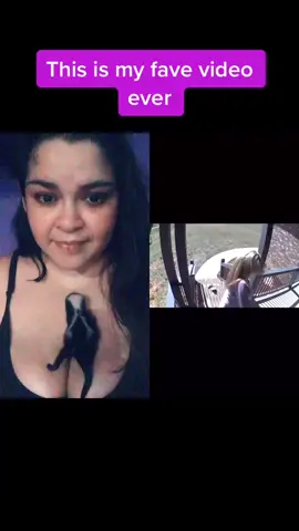 #duet with @personnumber67 more than likely a lost starving pet begging for food 😂 🦨