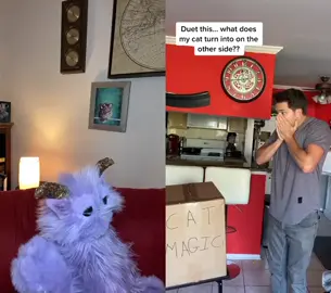Shoulda made a left turn at Albequerque✨ #duet with @nathanthecatlady #puppet #cute #fyp #foryou