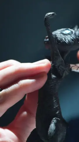 With all its sublime grace, the Cat takes great skill and care to make. #bts #coraline #animation #stopmotion #artistsoftiktok #laikastudios #fyp