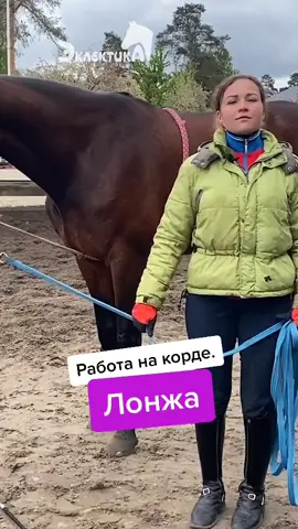 #лагерьэклектика #школаэклектика #horse #верховаяезда #конный