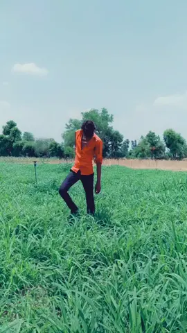 દિપાજી ધુણસોલ