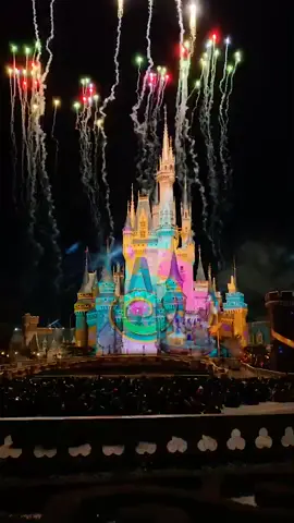 Tokyo Disneyland #wogsontour #fyp #foryou #japan #travel #fairytale #mickey #disneyland #tiktoktravel #disney #moana #frozen #lionking #fireworks #hot
