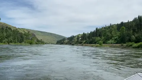 Time on Idaho’s Clearwater is good for the soul! We offer 6 hour historic tours. Follow the path of Lewis and Clark! #jonessportfishing #idaho