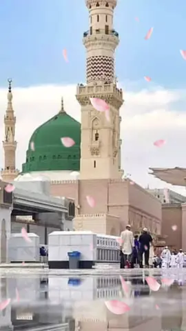 🤲😔🤲