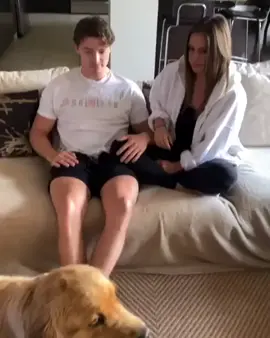 Excuse me dis my hooman (ig: lifeofsterlingnewton) #NotOneThing #PetRoutine