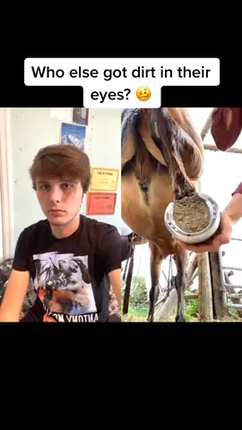 🥴 #duet with @yeeeeeehawww #notonething #petroutine #LearnOnTikTok #horse