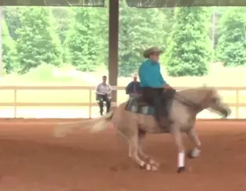 Go Gil and Prince!  216!!! #nrha #susmanreining #horseoftiktok #foryoupage #nrha #reiner #fyp