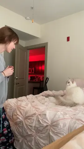 Trying to get Summer excited for fetch