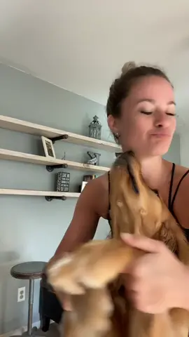 Pew pew pew #fyp #foryou #viral #goldenretriever #dancechallenge #dancer #BestFriendDay #trending #prank #dog
