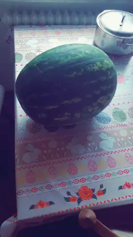 #bigmelons #Summer #wow