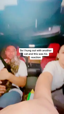 His reaction is priceless #fyp #foryou #foryoupage #KeepingItCute #SummerOfGaming #catsoftiktok #duet