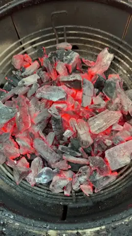I could watch this all day. Who's with me? #fire #charcoal #fyp #sogood #bbq #kamadojoe