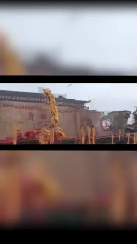 #HomeDecor #culture #accident#culture #china #the #hot ##koogfu #chinese #homedecor #tik #severe #stunt #lion #skills #stunt #workoutplan