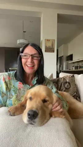 Do you follow me on Instagram ?? I'm Canadian though 🇨🇦#keepingitcute #puppy #google