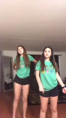 twins and i fell at the end