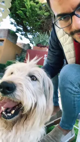 Mi Sky es puro amor. #Dog #perro #CarlosRivera #parati