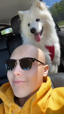 Brought the polar bear for a walk #MorningBoost #animalsdoingthings #hoggvloggs