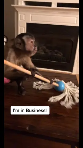 Today My Friends @rac8277 and Gina helped me start my cleaning business!! Thank you for the Birthday gift! #gaitlynrae #capuchin #fyp #foryou #clean