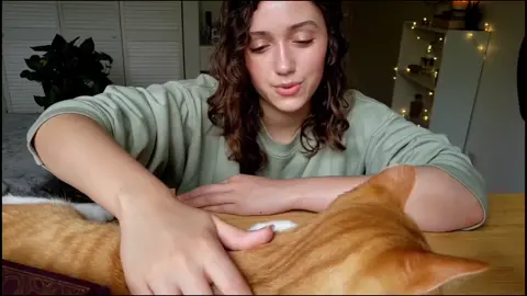 Just pampering this cutie 😽 #PetStory #catvideos #asmrvideo #catsounds #catsoftiktok #asmrtingles #foryoupage #asmr #fyp #asmrsounds