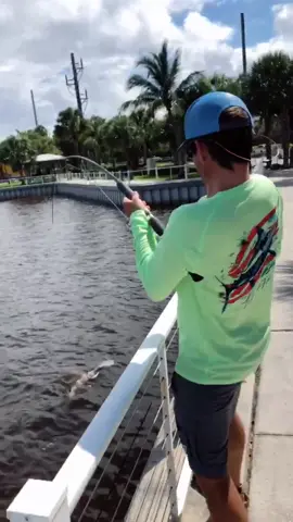 The tug is the drug!! #fishing #hiddentalents #stingray #florida