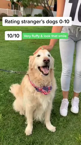 Comment YEET if u like dogs! 🐶❤️ Tag a friend 😂 w/ @jhanelle.castillo #dogs #dogsoftiktok #thatssotiktok #ninadrama #tiktokdogs #prank #pranks
