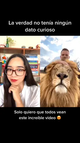 #dúo con @shandorlarenty ¿Quién más quiere a un león? 🙋🏻‍♀️ #edutokmx #ciencia #datoscuriosos