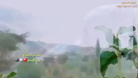 ارض اليمن يابلادي 💔