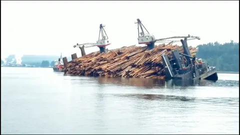 Barge Dump ! #canadianboyslogging #canada #logging #booming #bargedump #barge #hellyhansen #stihl #boating #seaspan #hercules #epic #loglife #tugs
