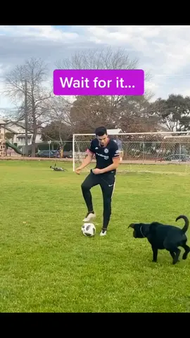 Best interruption ever 🐶 #football #Soccer #soccerkid #baller #skills #share #trending #fyp #foryoupage #foryou #fy #foryourpage #viral #dog #puppy