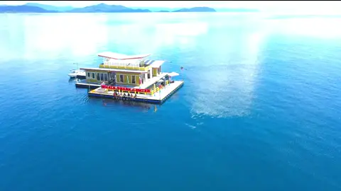 Whale Shark Center 😉👌 #fyp #fypシ #tiktokpapua #tiktokpapuahits #tiktoknabire #papua #nabire