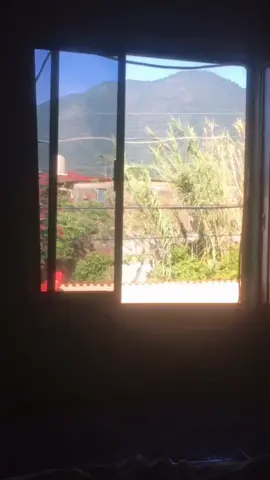 #morningvibes ☀️🍃🌈