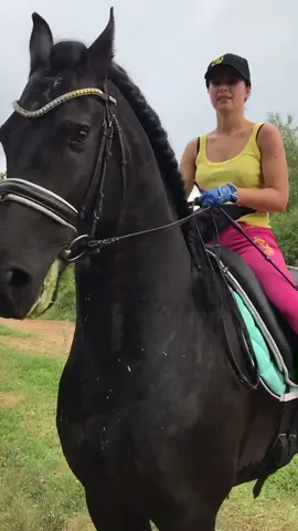 Friesian stallion Boomer and Catrin.  #fairytale_horse #horse #ипкичерныйбумер #horsegirl #fries #friesianhorse #friesianstallion #Love #life #style