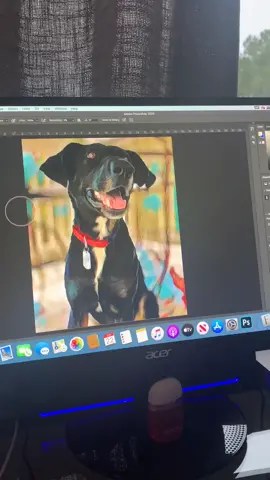 Another one - Done! Follow me on Instagram @petartby_hoogie #petart #digtalart
