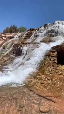 Toquerville Falls in Utah!! 🐠