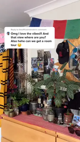 Reply to @theofficialredrobin it was hard trying to fit everything in but here ya go #RoomTour #plants #uk #alt #indie #books #harrypotter #fy #fyp #m
