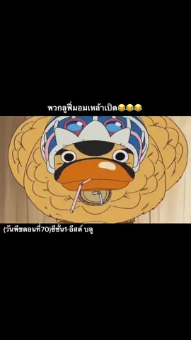 ‘พวกลูฟี่มอมเหล้ากาลู!!’#วันพีช #อย่าปิดการมองเห็น