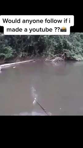 Let me know if you follow if I made a YouTube of compilation videos??🐸💥#fishing