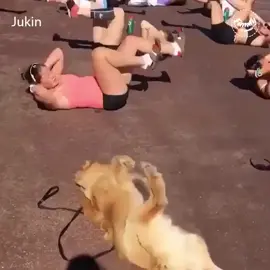 I need a workout buddy like this #dogsoftiktok #exercise #workout #plussize #fyp #foryoupage #viral #funny