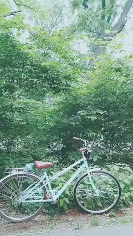 #slowmotion