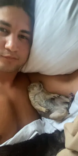 I promise she does more than just sleep 😂 #animals #pet #cuteanimal #funny #petlover #animal #tiktokanimals #cute #fyp #fypシ #cuteanimal #petlover