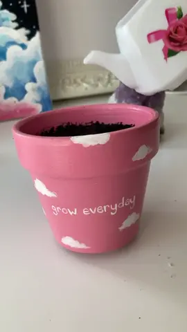 I’m back!! Missed you guys❤️ I had to buy a new iPhone this week🤗 imma be posting a lot now yay!! Painted this lil aesthetic pot today 🌱💓 #fyp